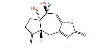 Menverin C